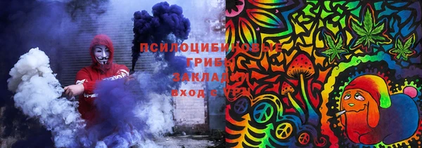 ГАЛЛЮЦИНОГЕННЫЕ ГРИБЫ Алексеевка