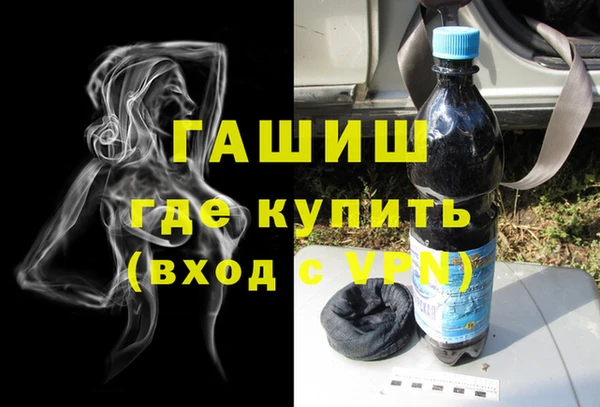 гидра Снежногорск
