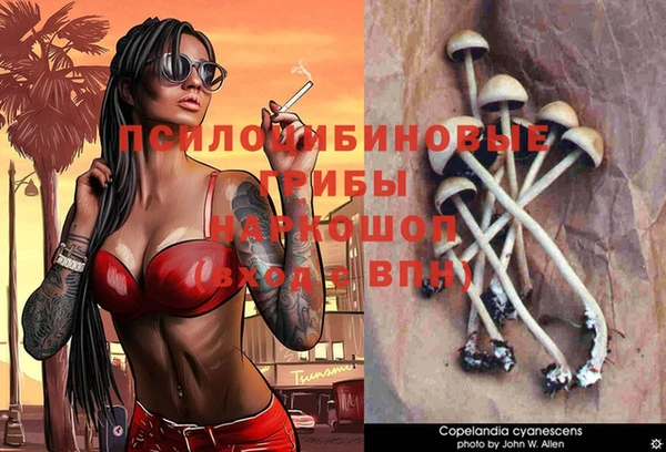 ГАЛЛЮЦИНОГЕННЫЕ ГРИБЫ Алексеевка