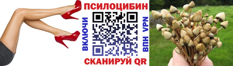 Псилоцибиновые грибы MAGIC MUSHROOMS  кракен tor  Арамиль 